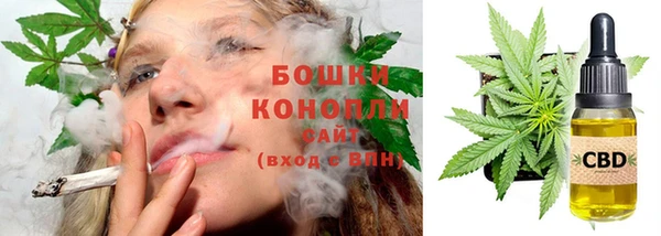 прущие грибы Горнозаводск