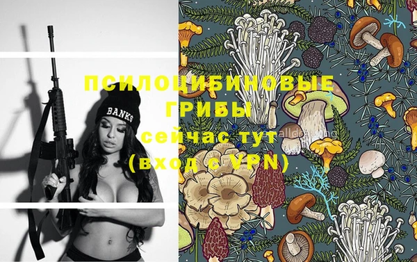 эйфоретик Горно-Алтайск