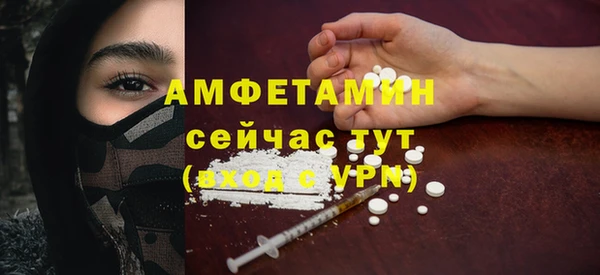 прущие грибы Горнозаводск