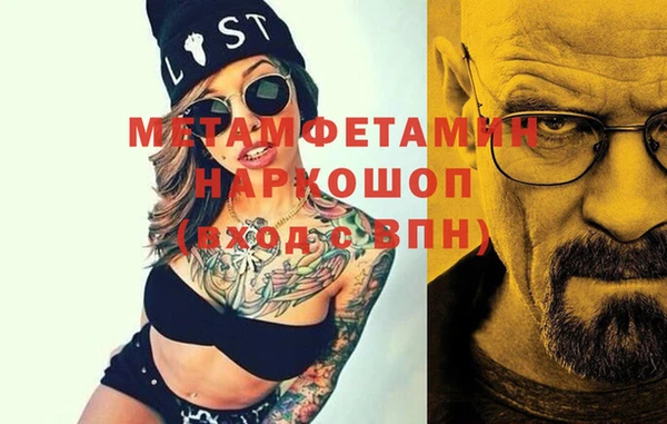 прущие грибы Горнозаводск
