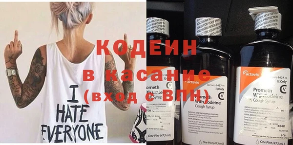 прущие грибы Горнозаводск