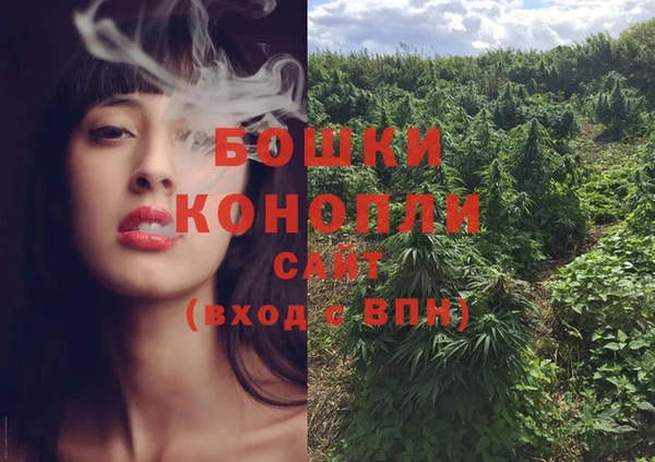 прущие грибы Горнозаводск