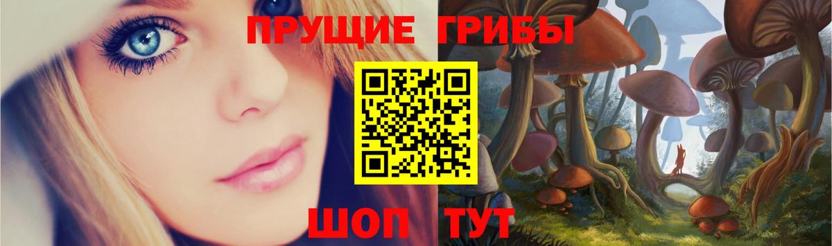 Псилоцибиновые грибы Magic Shrooms  Вход с VPN  Десногорск 